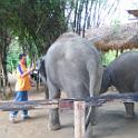 Thailand (221)